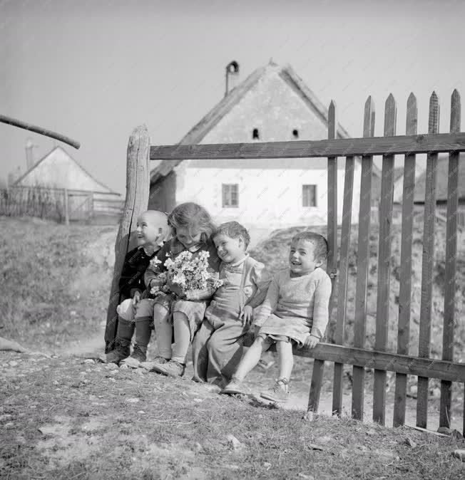 Táj, város - Budaörs 1949-ben