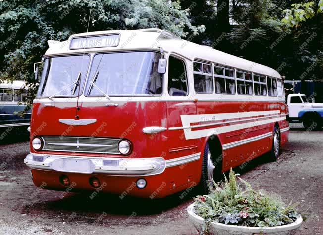 Ikarus 55-ös autóbusz 