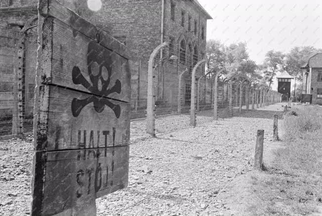 Lengyelország - Oświęcim - Koncentrációs tábor emlékhely