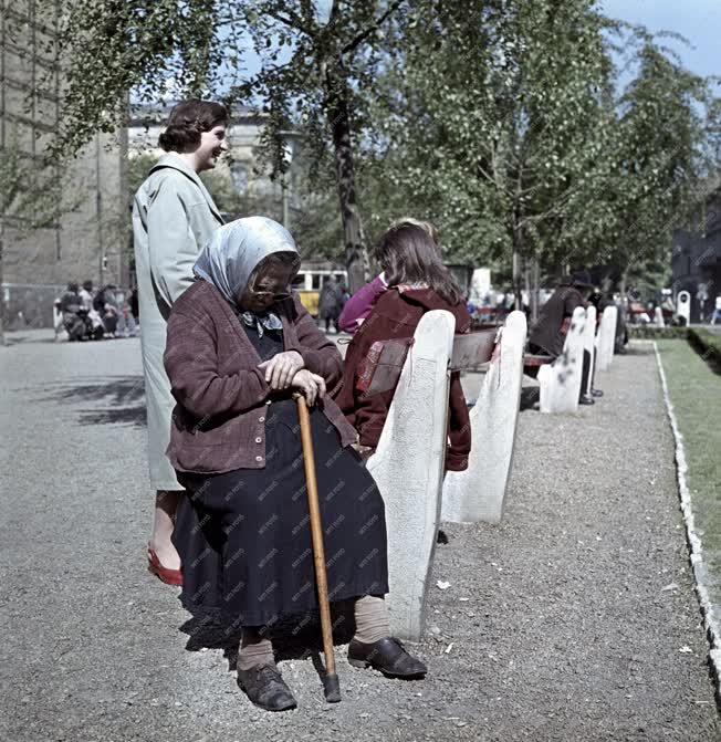 Életkép - Kálvin téri park