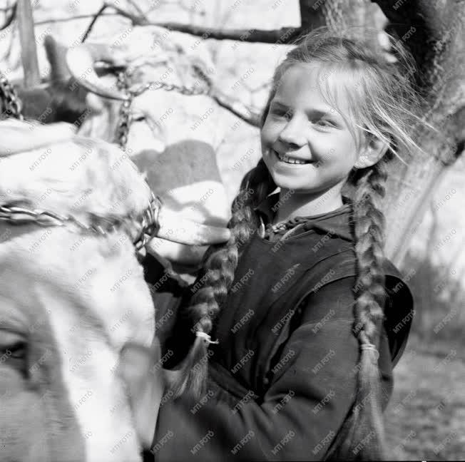 Mezőgazdaság - Tavasz a földeken