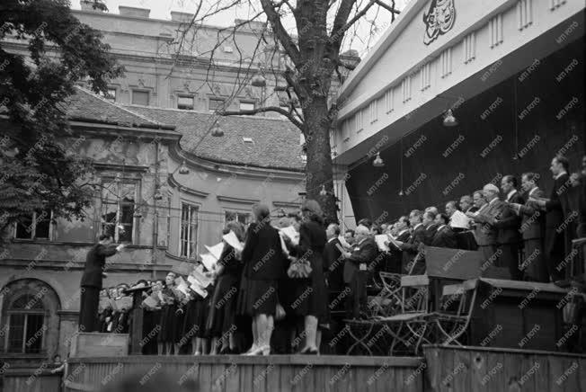 Kultúra - Koncert a Károlyi-kertben