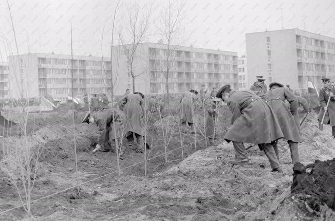 Belpolitika - A magyar-szovjet Barátság park építése