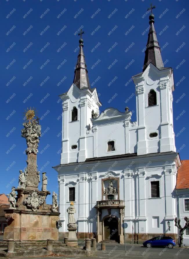 Egyházi épület - Vác - A piaristák barokk temploma