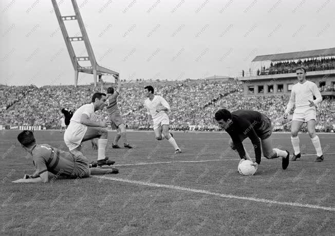 Sport - Labdarúgás - Vasas-Real Madrid