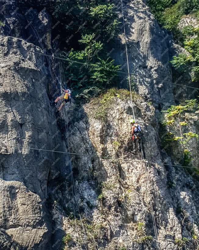 Természetmegőrzés - Budapest - Alpinisták a Gellért-hegyen