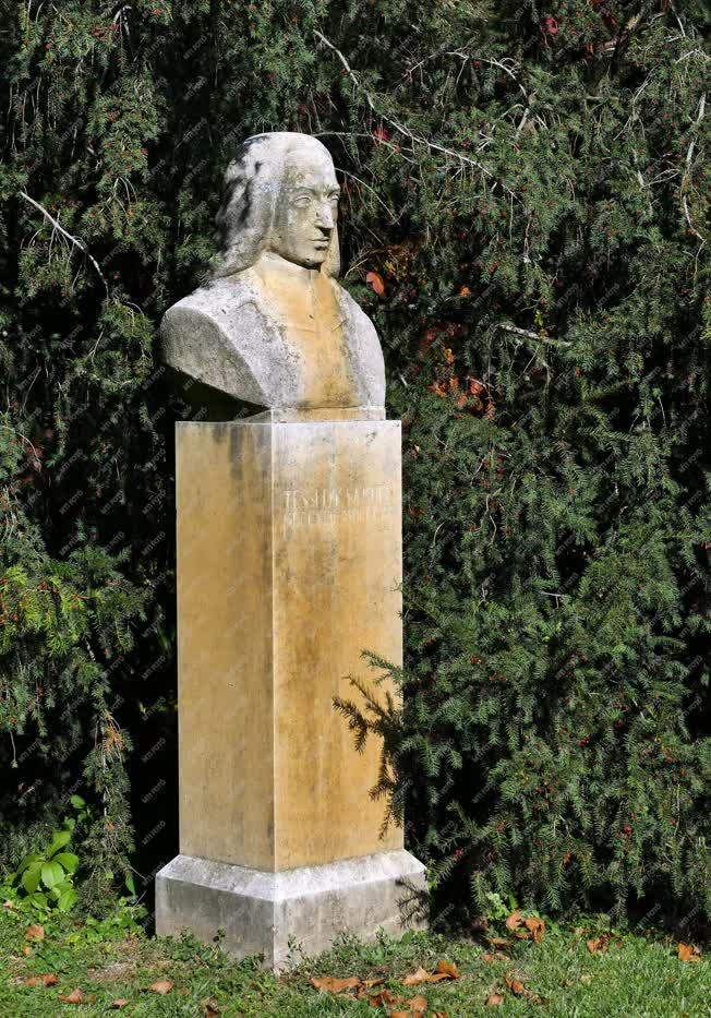 Köztéri szobor - Martonvásár - Tessedik Sámuel mellszobra