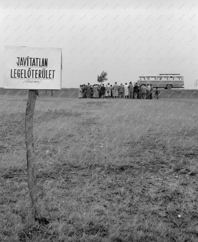 Mezőgazdaság - Legelő javítási és telepítési tapasztalat