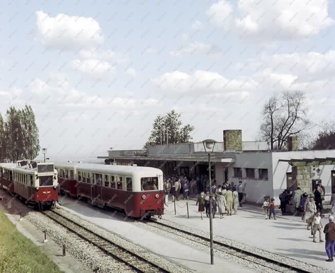 Közlekedés - Úttörővasút a Budai-hegységben