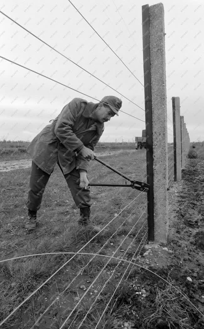 Külkapcsolat - Határkérdés - Megkezdődött a határzár felszedése