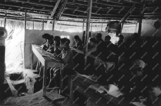 Vietnami háború - Kitelepített iskolák