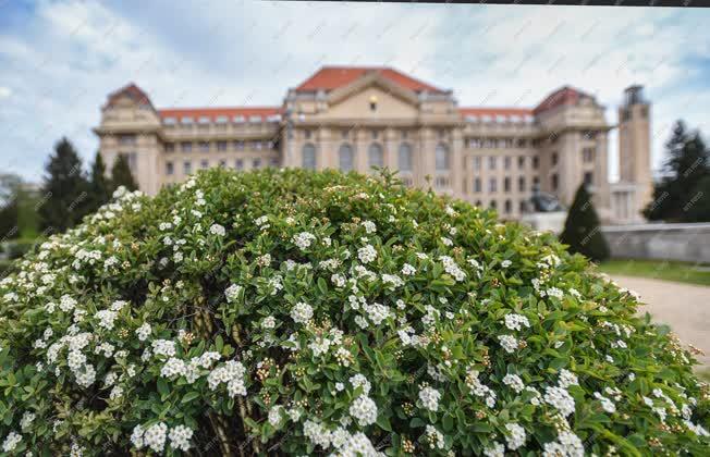 Felsőoktatás - Debrecen - 20 éves a Debreceni Egyetem