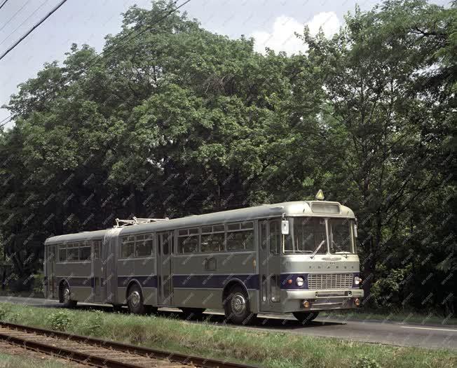 Közlekedés - Ikarus 180 elővárosi-városi csuklós busz
