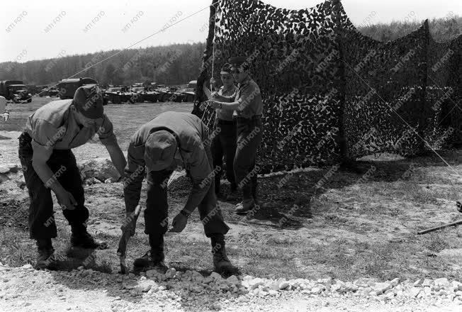 Pajzs '79 - a Varsói Szerződés tagállamainak közös hadgyakorlata