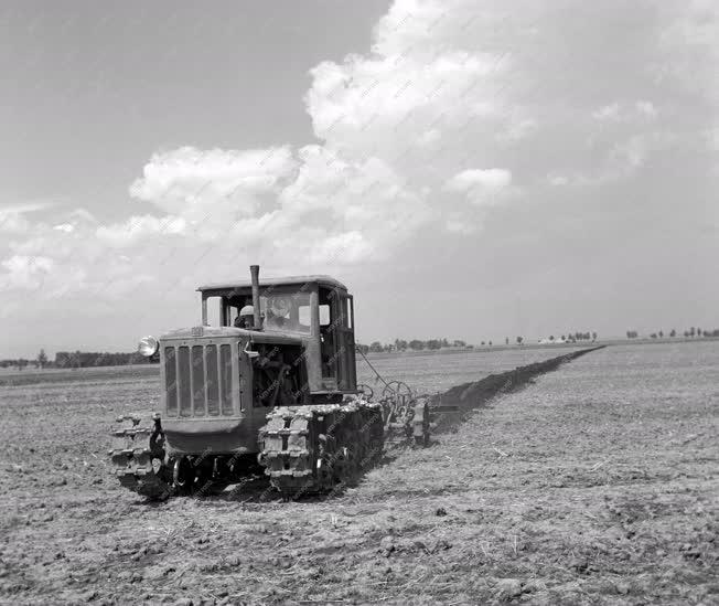 Mezőgazdaság - Növénytermesztés - Egy traktoros-család életéből