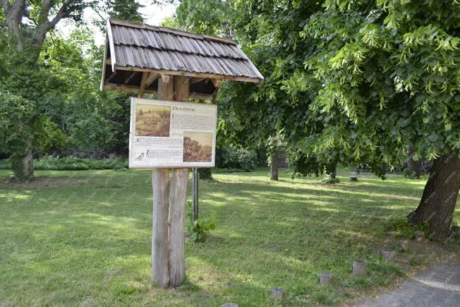 Természet - Budapest - A Jókai-kert részlete