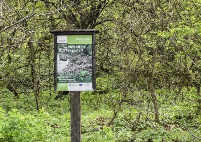 Természet - Szabadidő - Pilisi parkerdő Erzsébetteleknél