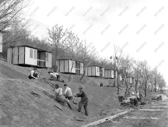 Természet-környezet - Parkosítják a hárs-hegyi kempinget