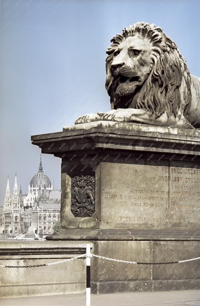 Városkép - A Lánchíd oroszlán szobra