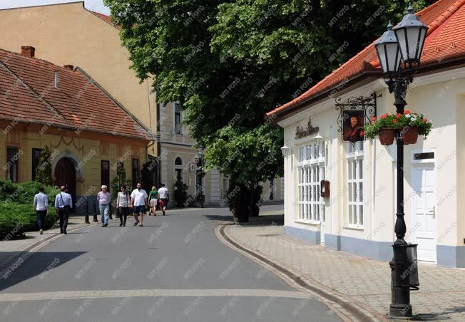 Idegenforgalom - Tokaj - Turisták a Rákóczi utcában