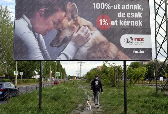 Állatvédelem – Rex Kutyaotthon Alapítvány