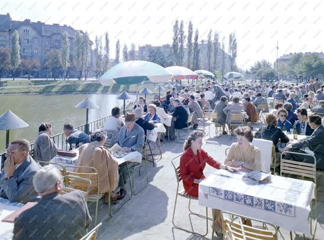 Vendéglátás - Park vendéglő