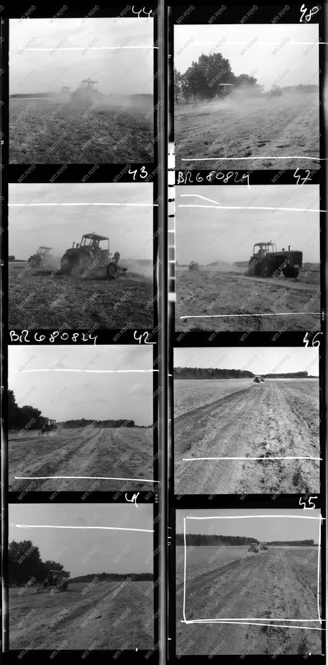 Mezőgazdaság - Tarlót szántó traktorosok
