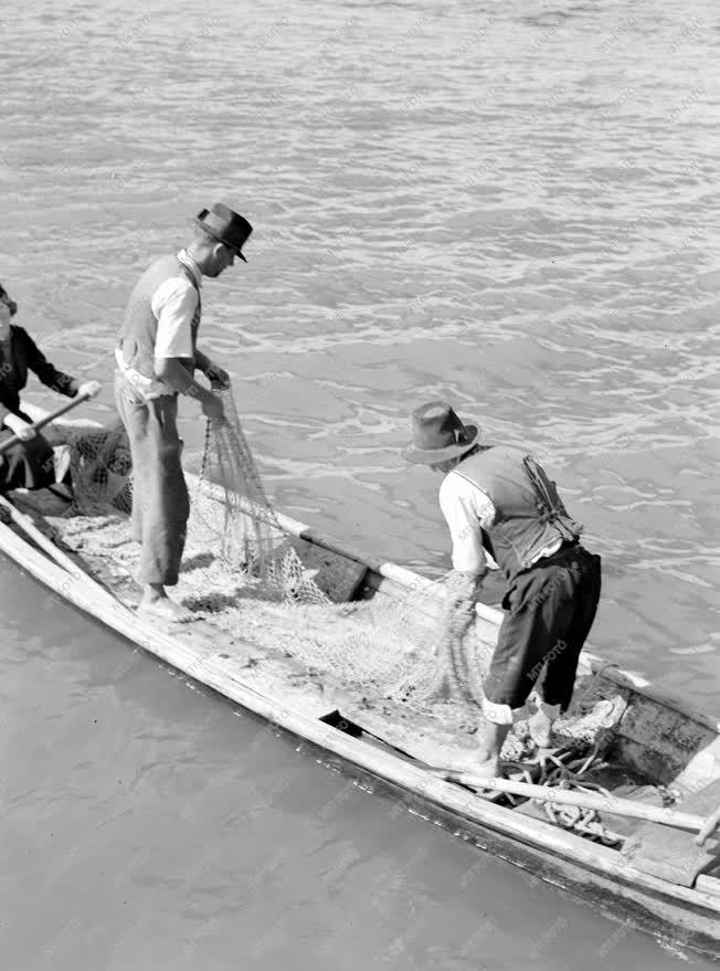 Gazdaság - Halászat - Halászok dobják vízbe a hálót