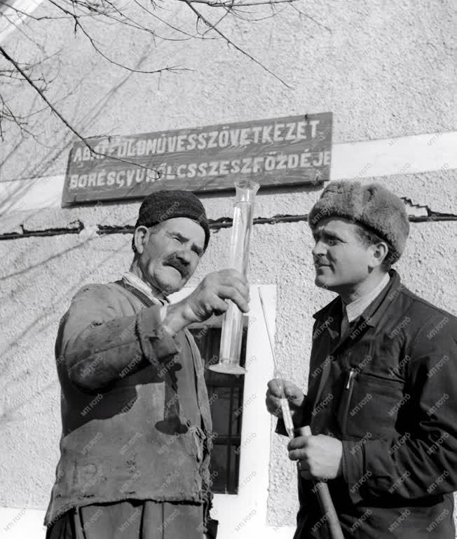 Gazdaság - Abai Földműves Szövetkezet szeszfőzdéje 