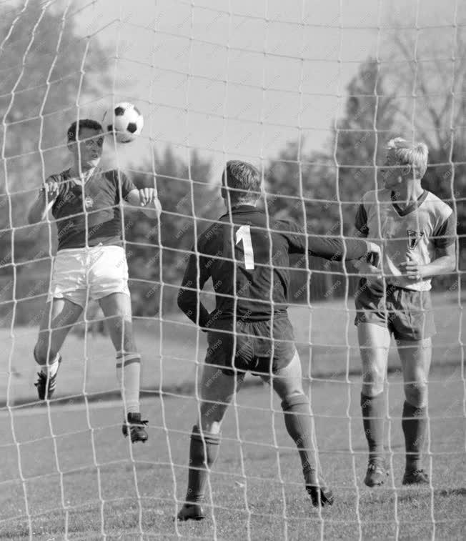 Sport - Labdarúgás - Magyar válogatott-Vorwärts Berlin