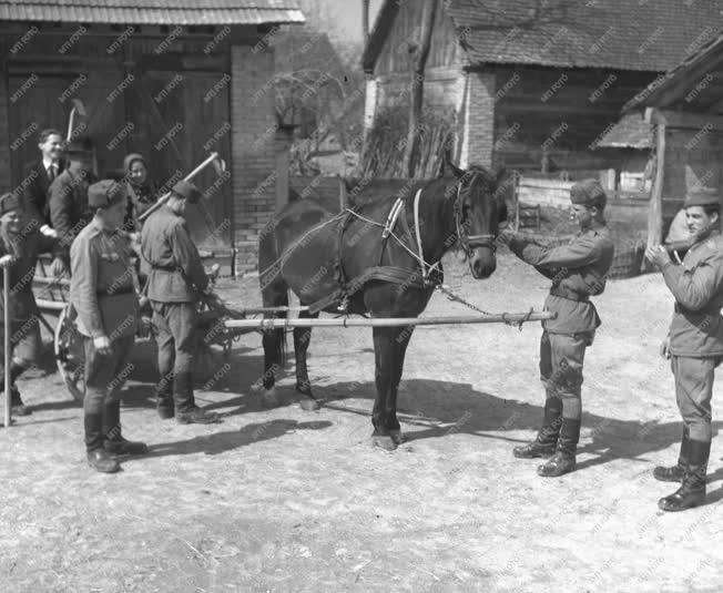 Baleset - Vészelhárítás - Gerjen