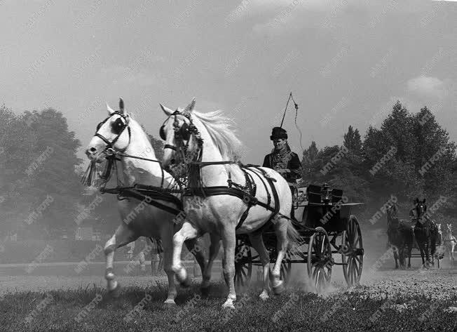 A szerző válogatása - Magyar négyesfogatok