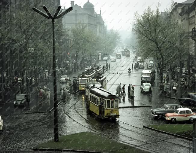 Közlekedés - Esős Budapest