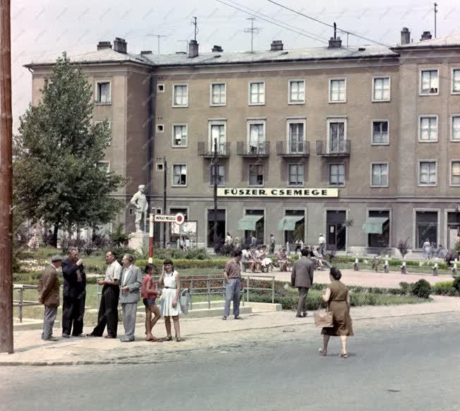 Városkép - Komló - A Kökönyös-Dávidföld városrész főtere