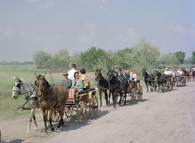 Turizmus - Bugac