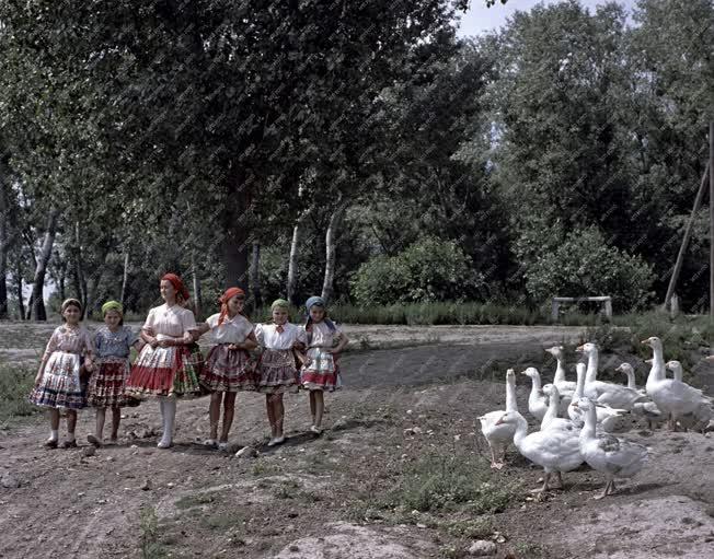 Folklór - Decs község népviselete