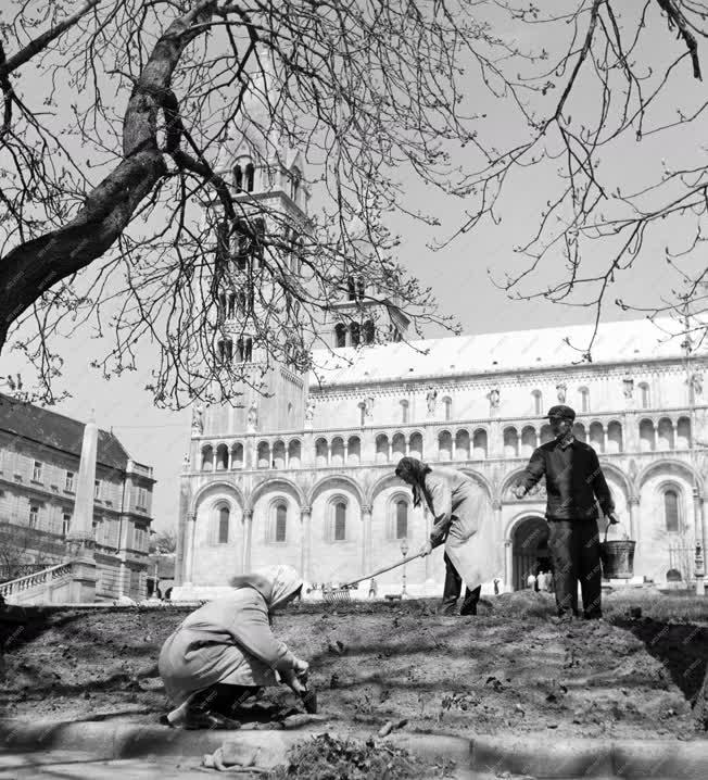 Pécs - Parkgondozás