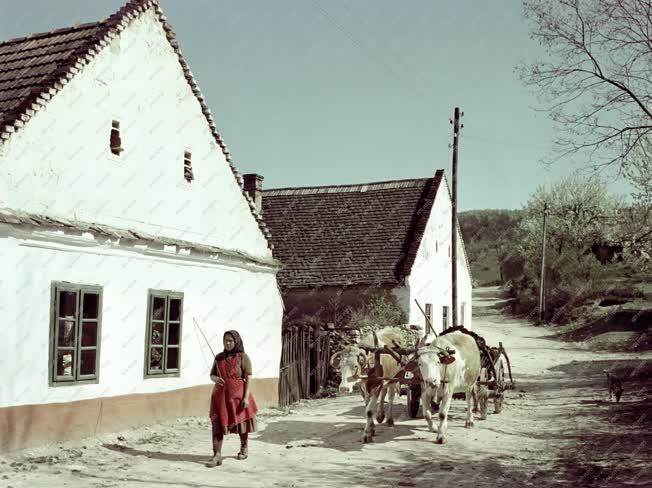 Életkép - Bakonyi falu