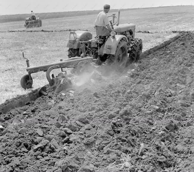 Mezőgazdaság - A 12. Szántási Világversenyre készülnek magyar traktorosok