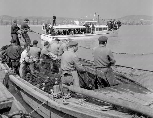 Külkapcsolat - Halászat - Nemzetközi halász tapasztalatcsere a Dunán és a Balatonon