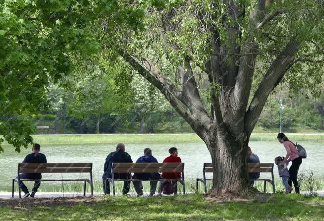 Városkép - Tatabánya - Millenniumi Közpark