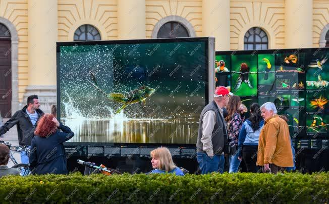 Kultúra - Debrecen - Máté Bence utazó fotókiállítása