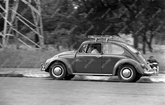 Hobbi - Volkswagen-találkozó a Népligetben