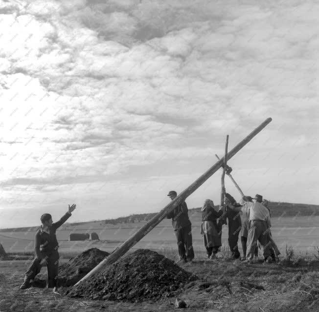 Gazdaság - Villanyt kapott Tótvázsony