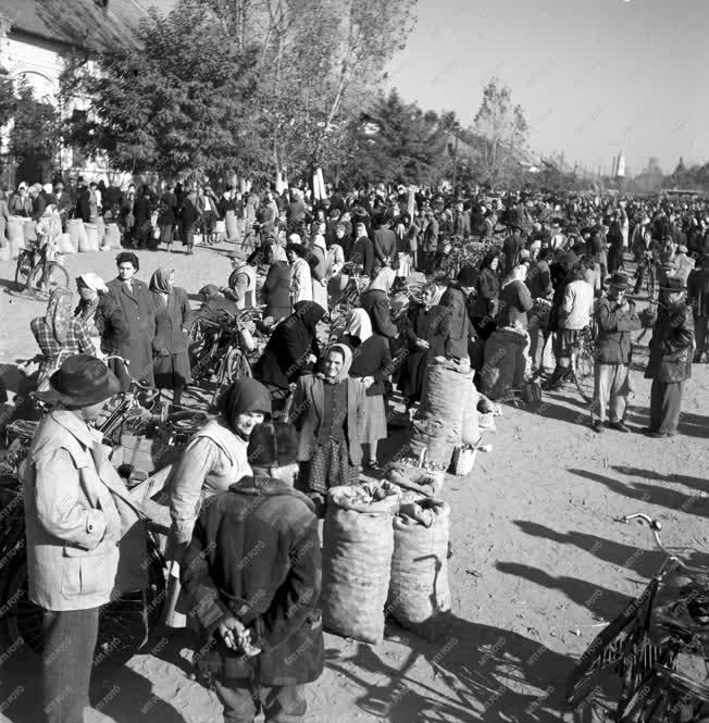 Gazdaság - Kereskedelem -A makói hagymapiac