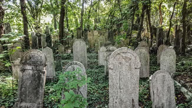 Temető - Budapest - Salgótarjáni úti Izraelita temető