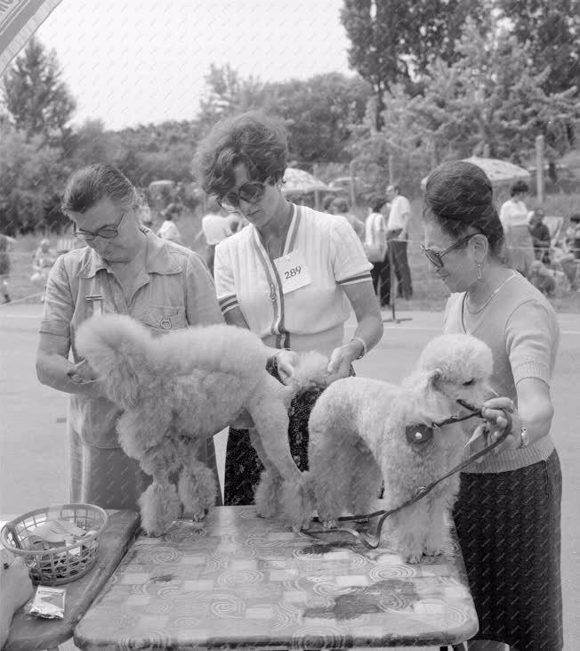 Rendezvény - Országos kutyakiállítás és bemutató Balatonfüreden