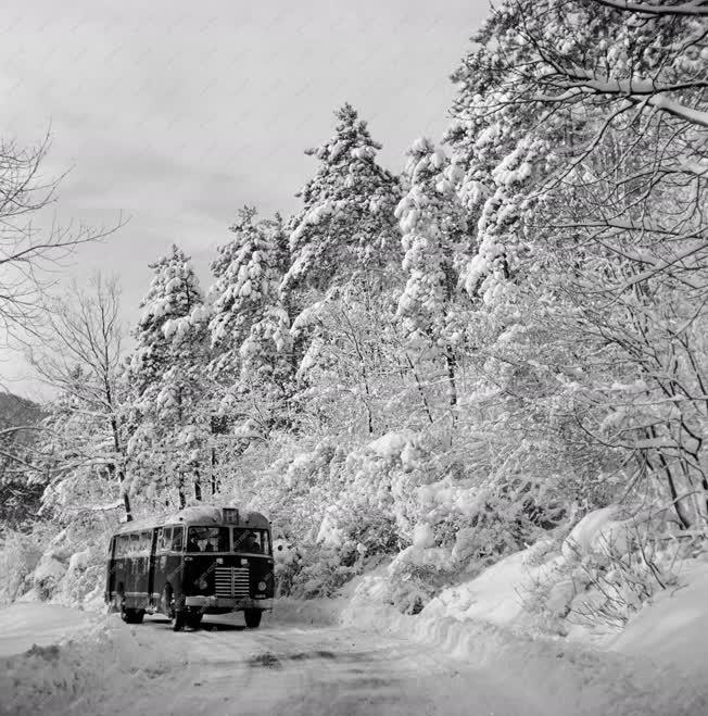 Közlekedés - Természet - autóbuszjára a budai hegyekben
