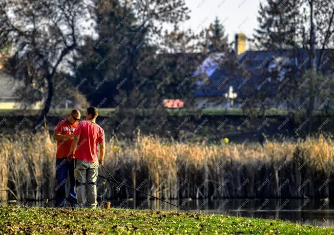 Természet - Tiszalök - Őszutó a Tiszánál