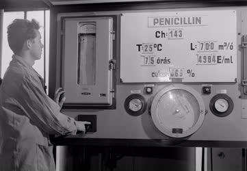 Ipar - Egészségügy - Penicilin gyártása